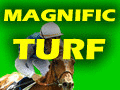 MAGNIFICTURF