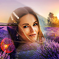 Photo effect - Sunset over lavender field