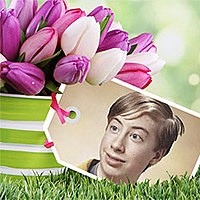 Photo effect - Beautiful tulips for you