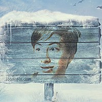 Photo effect - Board frozen in ice in winter forest