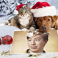 Photo effect - Dog and cat wish a Merry Christmas