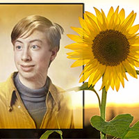 Photo effect - Sunflower and sunrise