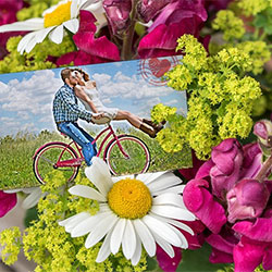 Photo effect - Greeting card with flowers