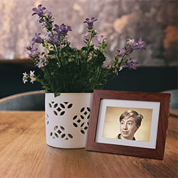 Photo effect - Photo frame near flowerpot