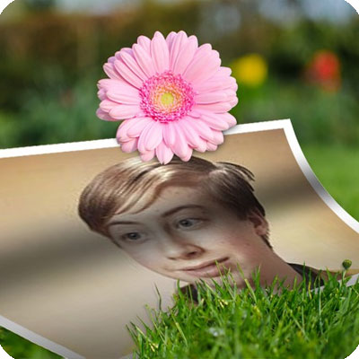 Photo effect - On the grass under the flower