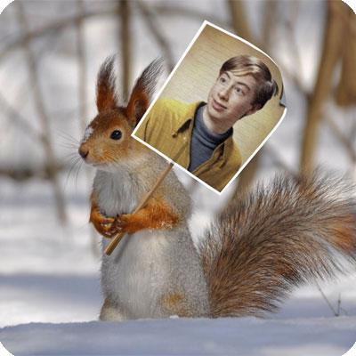Photo effect - Squirrel on the demonstration in a snowy forest
